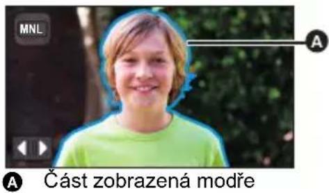 MNL A Část zobrazená modře
