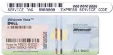 SERVICE TAG 0000000 EXPRESS SERVICE CODE Windows Visits™ DOLL Product No: ABCDE-82CD30- 122418-7009X2-PMXFX2 Microsoft (13-8456)