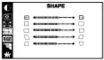 SHAPE