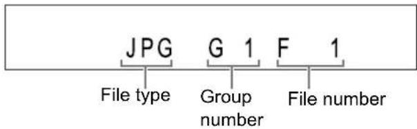 JPG G 1 F 1 File type Group number File number
