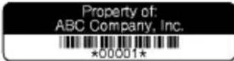 BROTHER P-Touch 2710 - Using Templates - Example creating an Asset Tag - 10