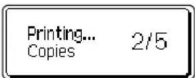 BROTHER P-Touch 2710 - Auto-numbering Labels - 6