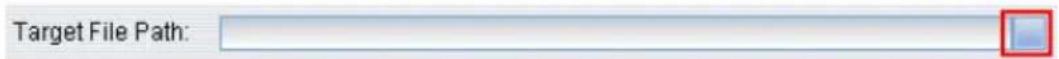Target File Path: