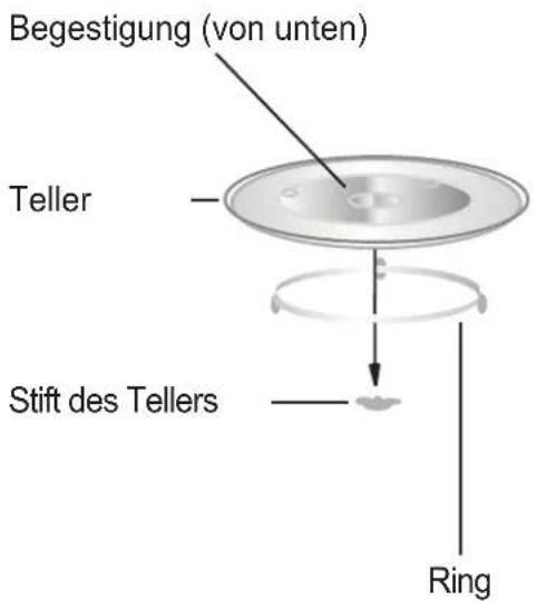 Begestigung (von unten) Teller Stift des Tellers Ring