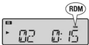 RDM 02 0:15