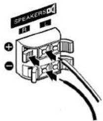 SPEAKERS + - - -