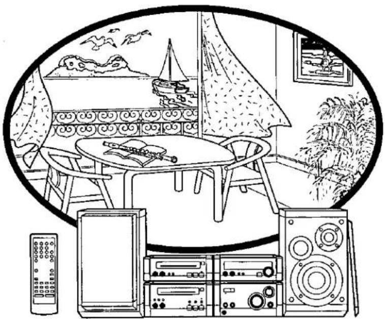 TECHNICS SL-HD505 - 1