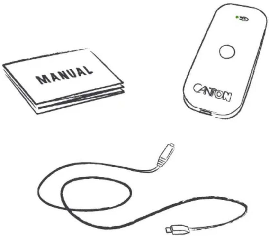 MANUAL CANON