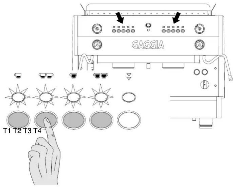 GAGGIA T1 T2 T3 T4