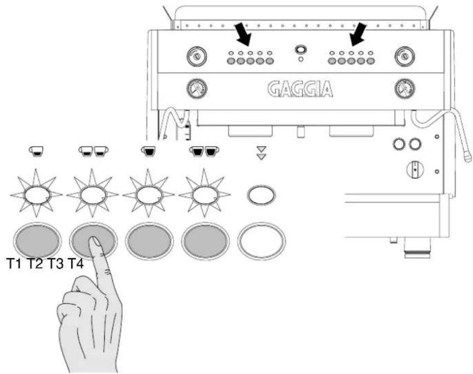 GAGGIA T1 T2 T3 T4
