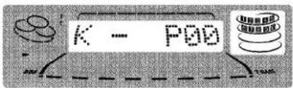 K - P00