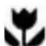 AEG-ELECTROLUX Santo 70312-5 KG - Attention! - 1