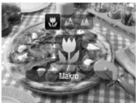 Makro