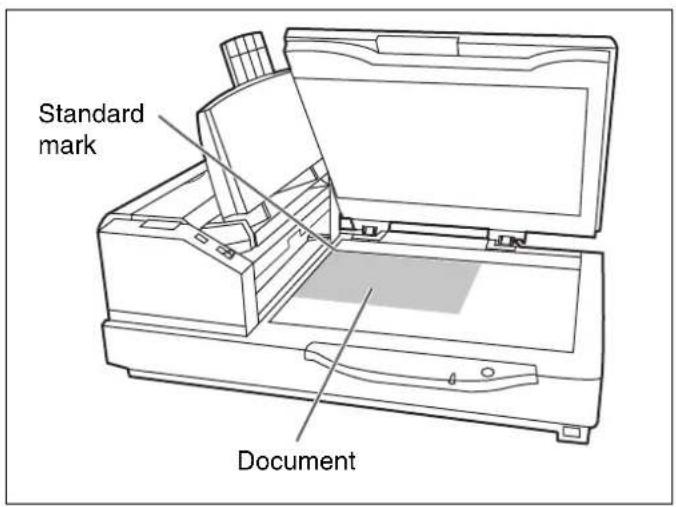Standard mark Document