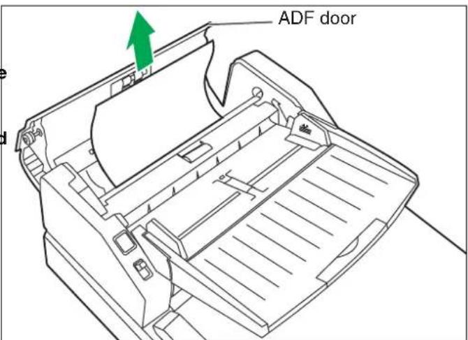 ADF door
