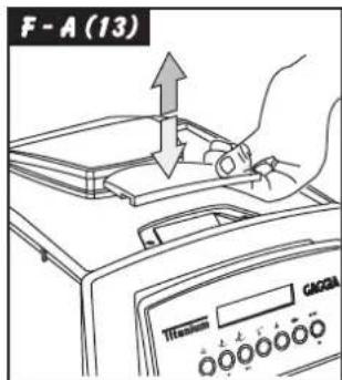 F - A (13)