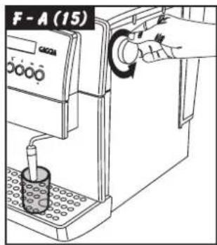 F - A (15) GACGA
