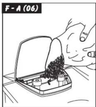 F - A (06)