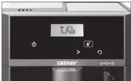 zeimer zelle