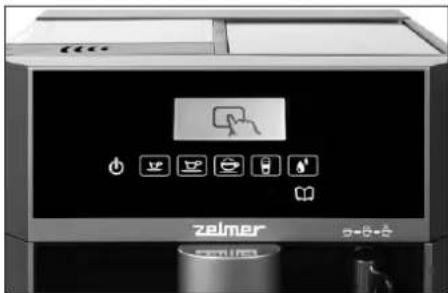 zeimer g=0+0