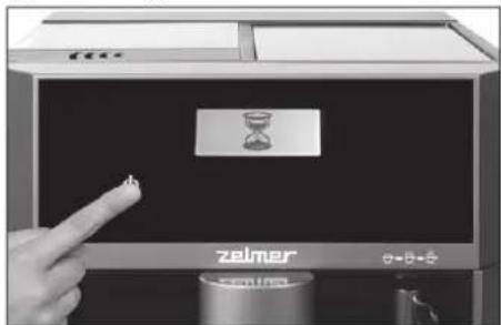 zelmer + - + - +