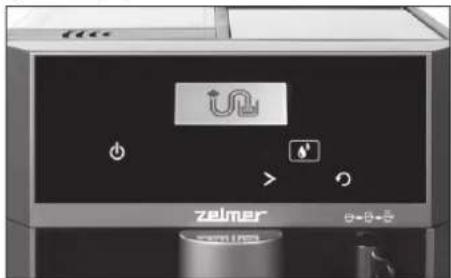 zeimer zelle