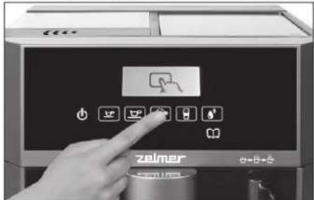 zeimer 0+2+6