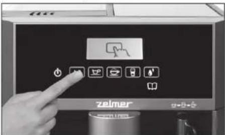zelmer Sauve