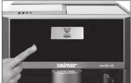zelmer + - + - +