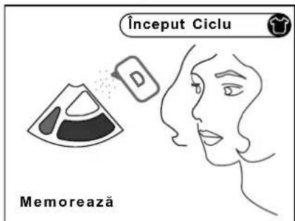 Început Ciclu Memorează