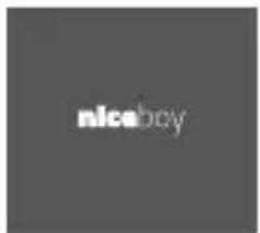 niceboy