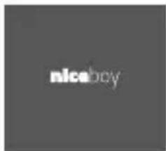 niceboy