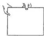 OLYMPIA Comfort MD Multi-line display - Eject paper - 2