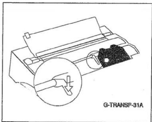 G-TRANSP-31A