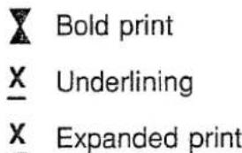 Bold print Underlining Expanded print
