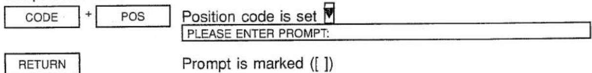 CODE + POS Position code is set PLEASE ENTER PROMPT: RETURN Prompt is marked ( [ ] )