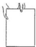 OLYMPIA Comfort MD Multi-line display - Eject paper - 1