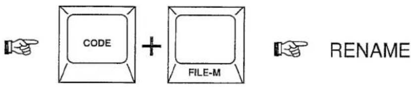 CODE + FILE-M RENAME
