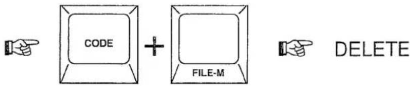 CODE + FILE-M DELETE