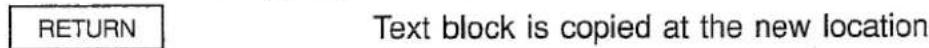 RETURN Text block is copied at the new location