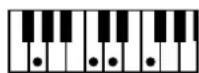 ROLAND BK-3-BK - Chord Intelligence Table - 75