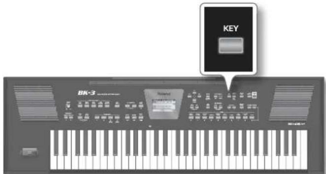 KEY BN-3
