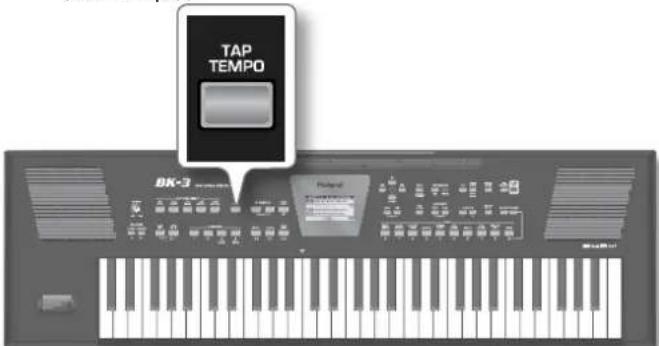 TAP TEMPO BK-3 Piano9