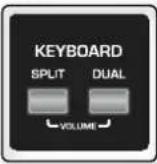 ROLAND BK-3-BK - ITALY - 10