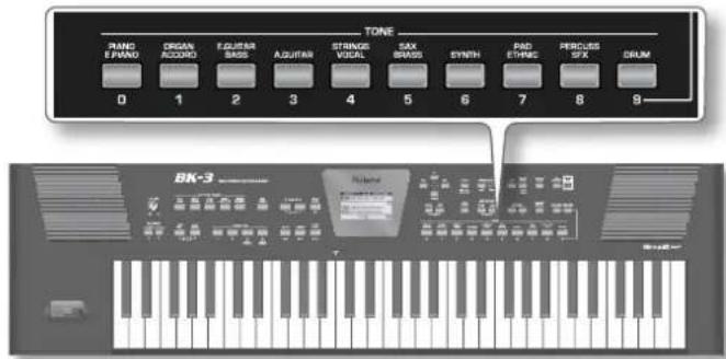 TONE RANG EPWANG ORGAN ACCORDO EQUITYAR BASS AQUITYAR STRINGS VOCAL SAX BRADS SYNETH PAD ETHNIC PERCUSS SFX DRUM 0 1 2 3 4 5 6 7 8 9 BK-3