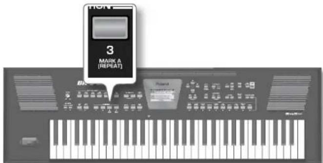 HON 3 MARK A (REPEAT)