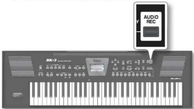 AUDIO REC BK-3