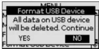 Format USB Device All data on USB device will be deleted. Continue YES NO