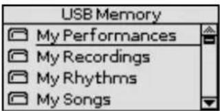 USB Memory My Performances My Recordings My Rhythms My Songs