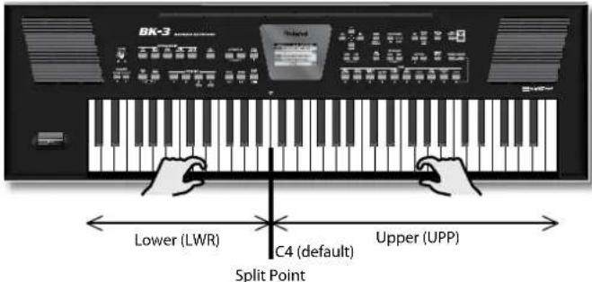 BK-3 Lower (LWR) C4 (default) Split Point Upper (UPP)